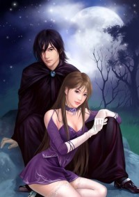 魔兽世界之吉尔尼斯王子